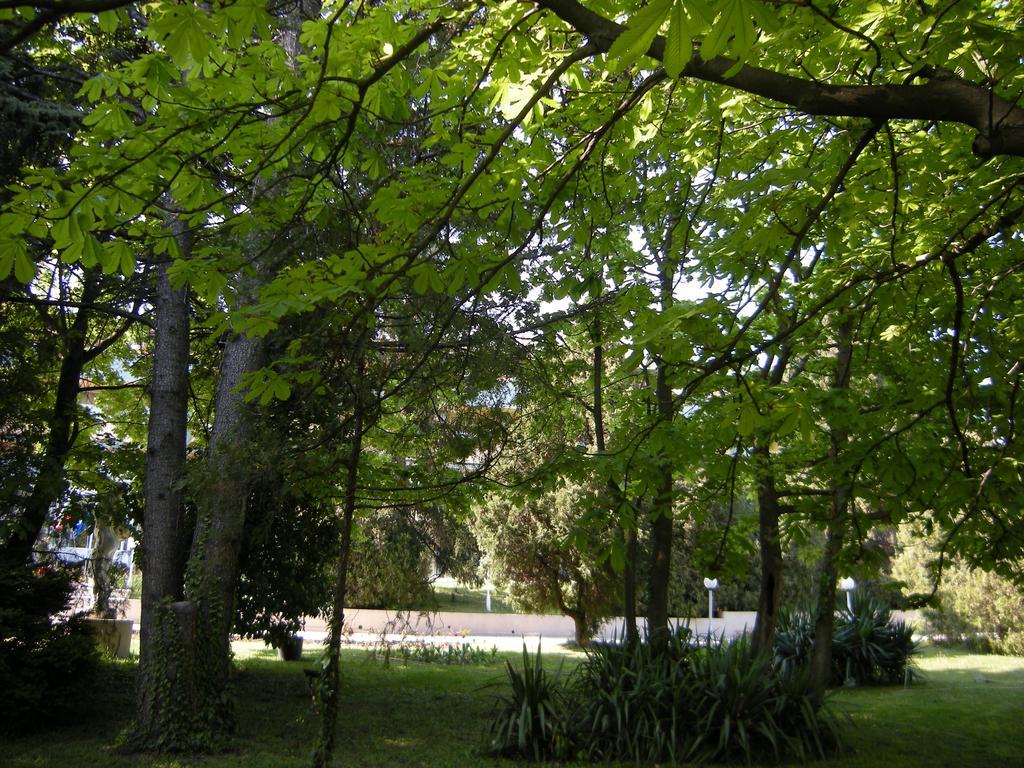 Park Hotel Persey Varna Eksteriør billede